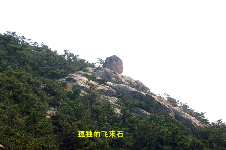 108_1075_缩小大小.JPG