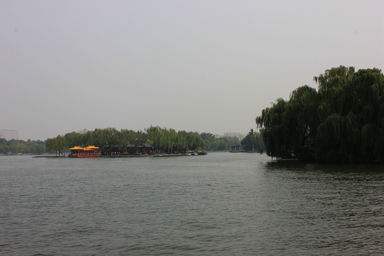 IMG_4741.jpg
