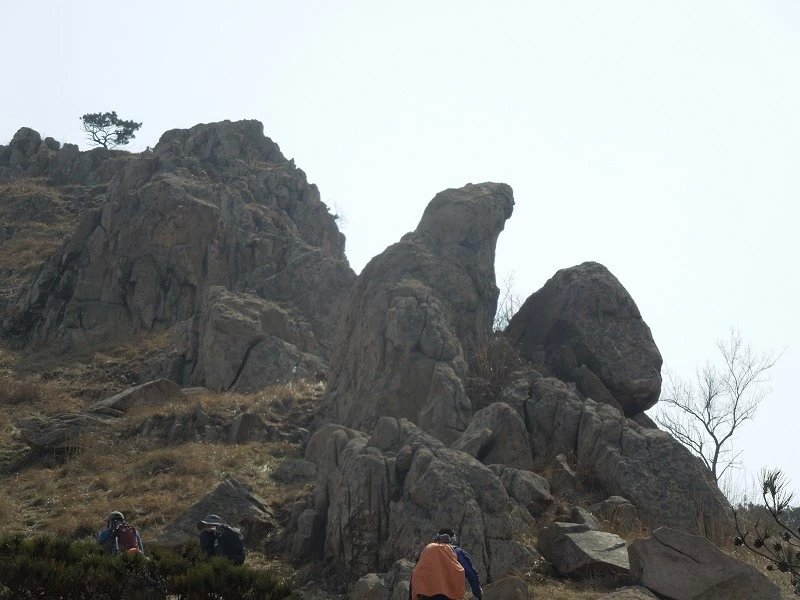 青龙山的石鹰.jpeg