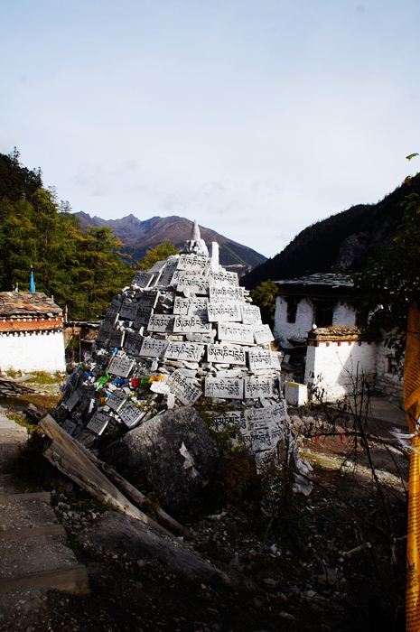 DSC02411.jpg