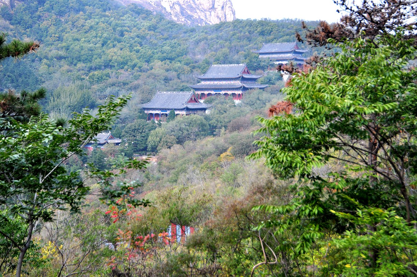 杏仁林、大基山 231.jpg