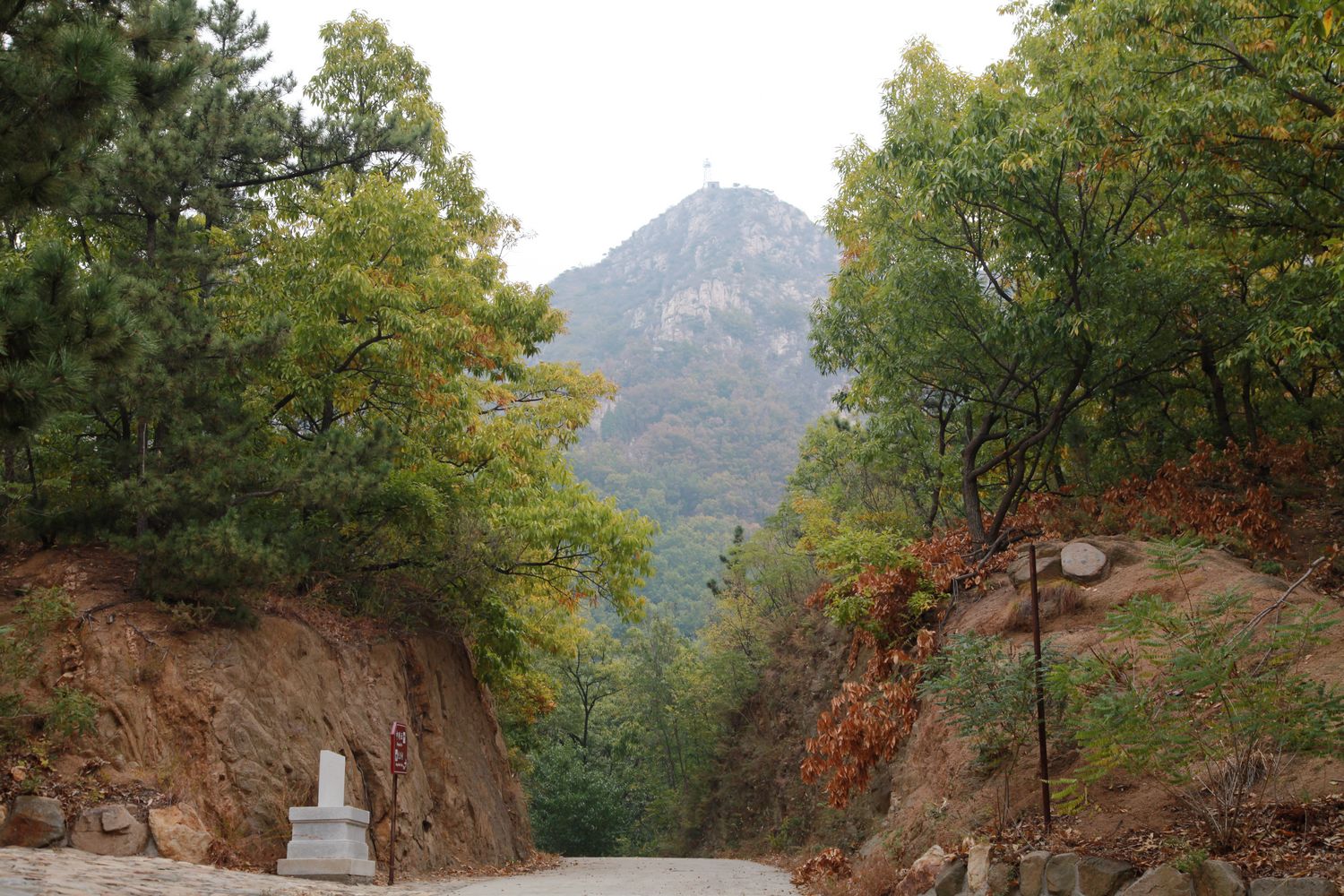 大基山 069.jpg