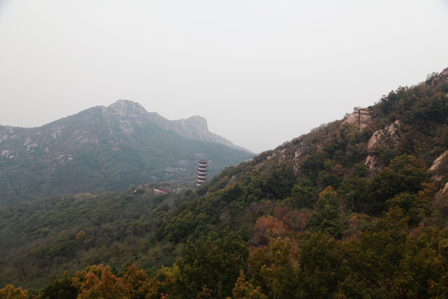 大基山 083.jpg