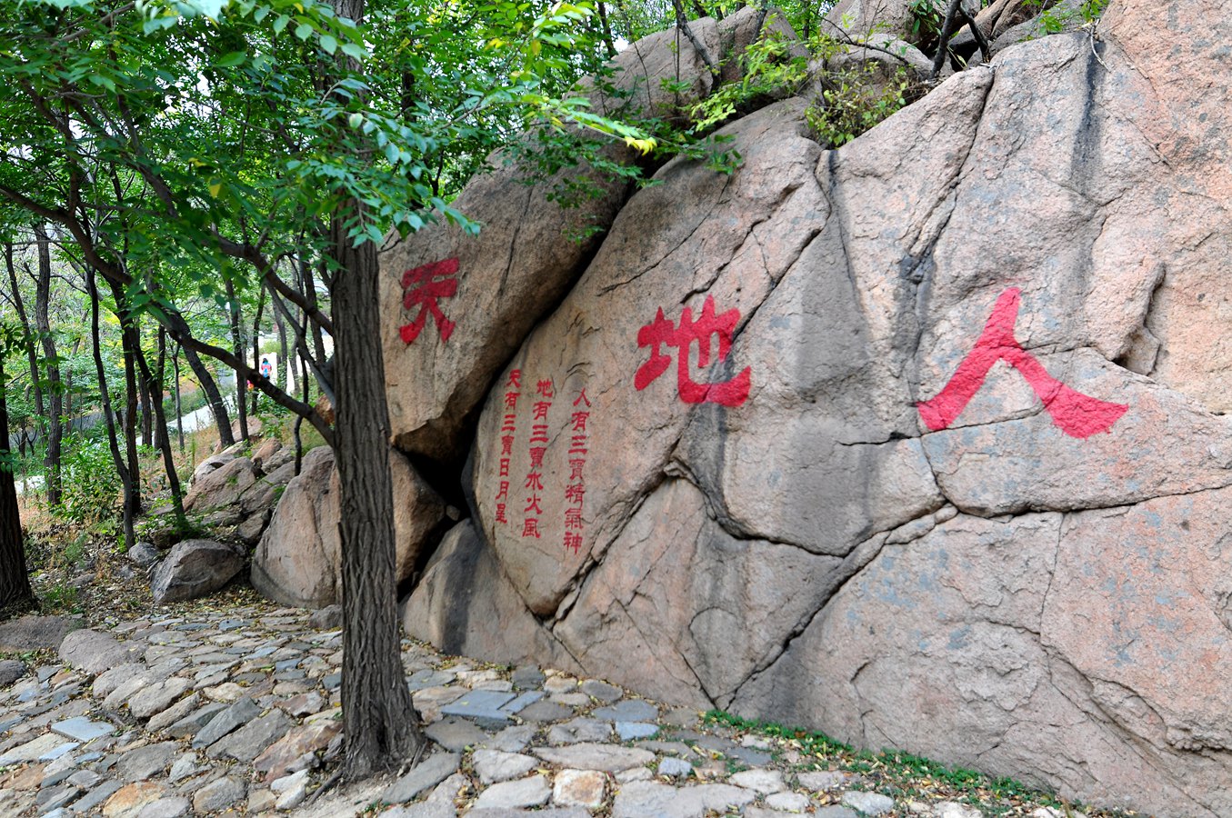 杏仁林、大基山 261.jpg
