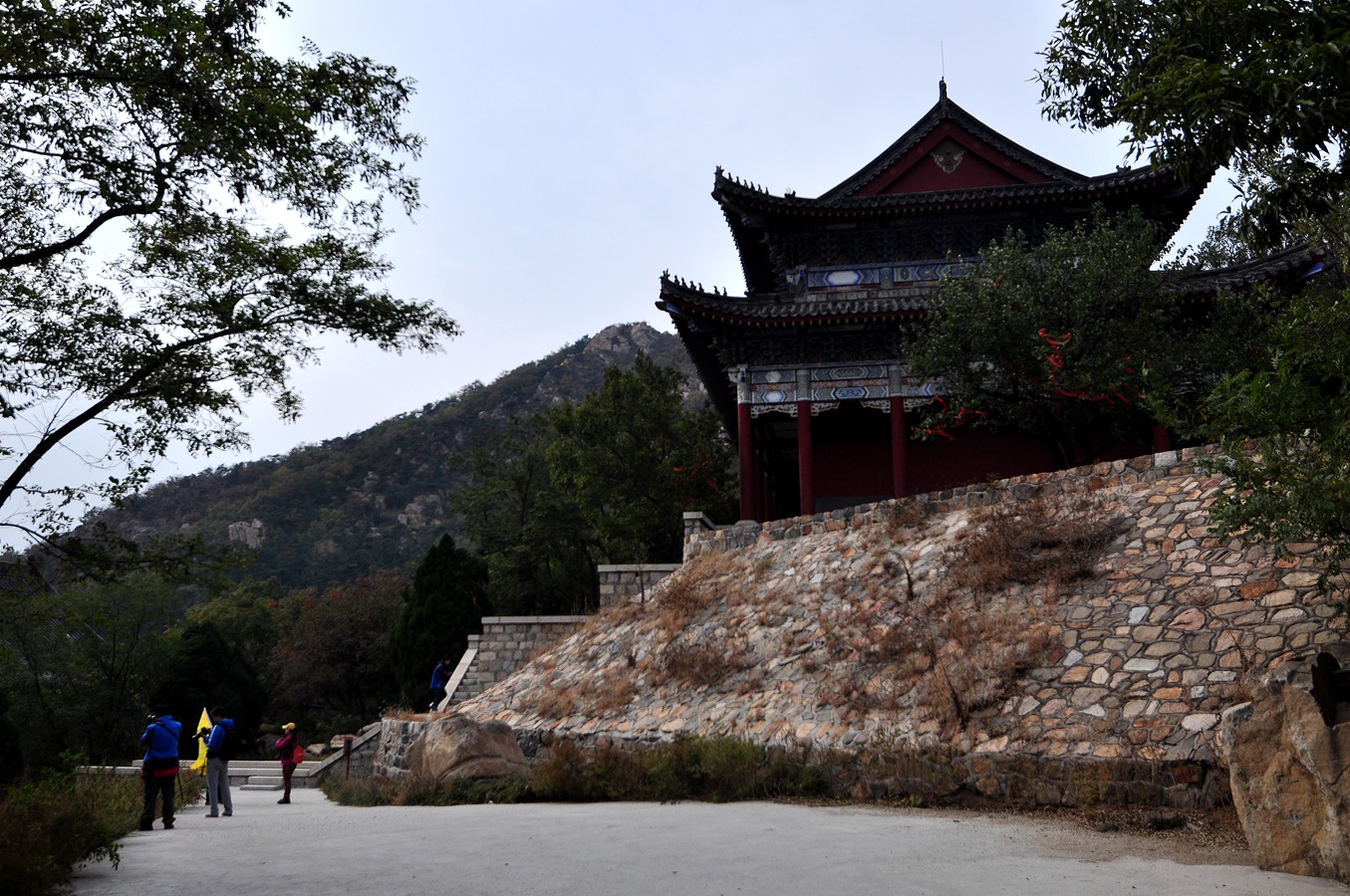 杏仁林、大基山 263.jpg