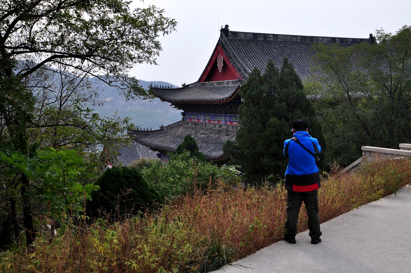 杏仁林、大基山 265.jpg