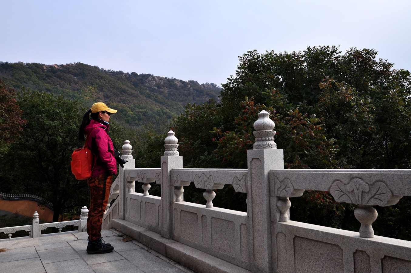 杏仁林、大基山 273.jpg
