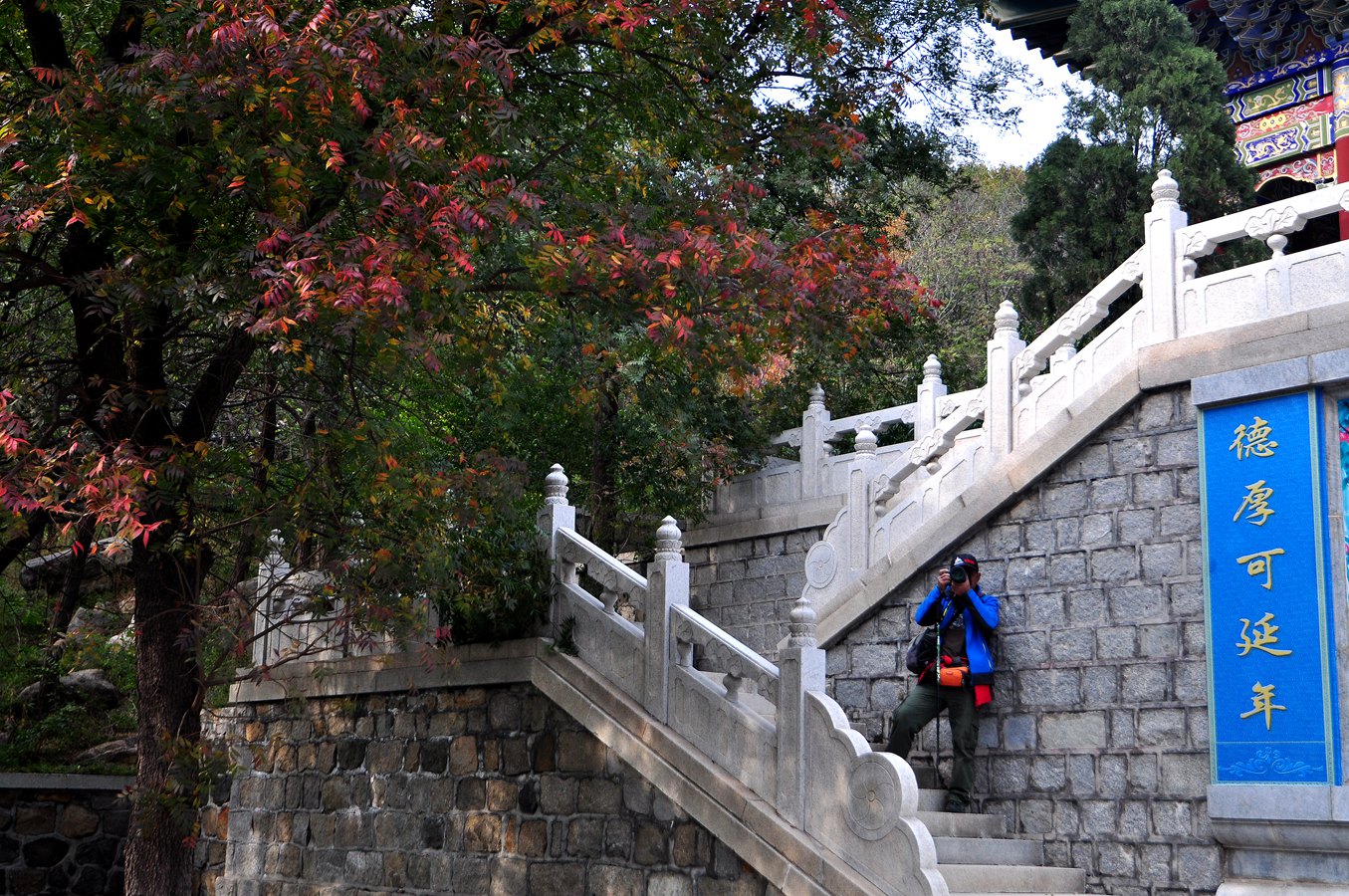 杏仁林、大基山 274.jpg