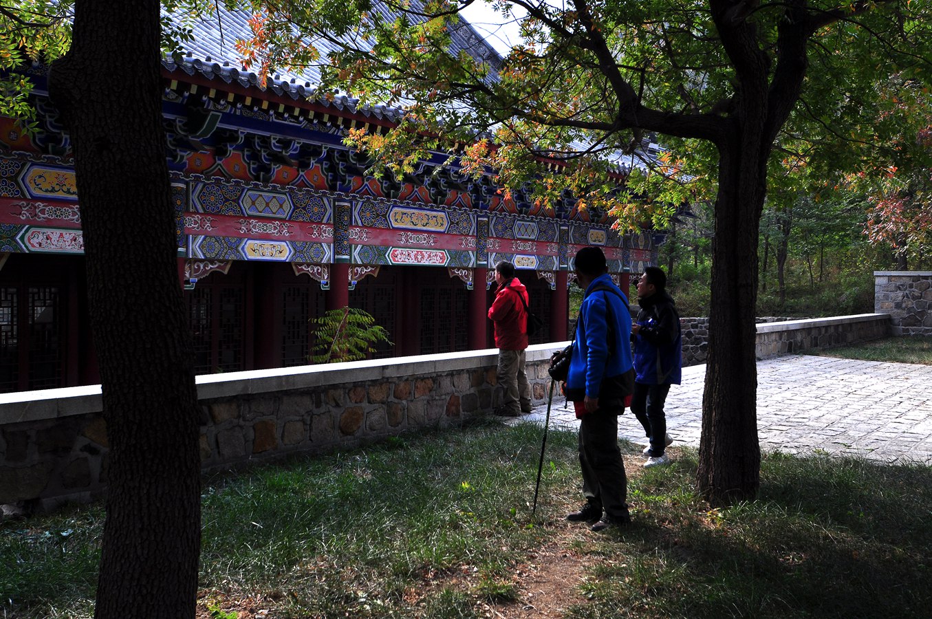 杏仁林、大基山 286.jpg
