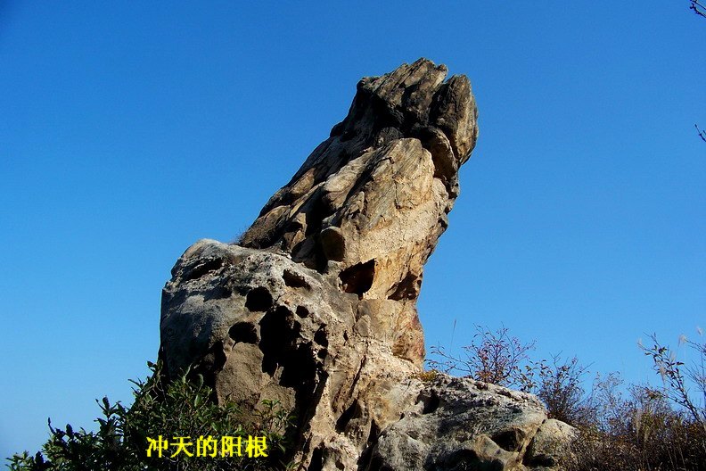 108_1219_缩小大小.JPG