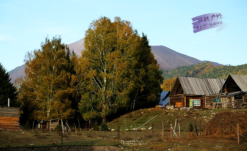8E2A7695.jpg