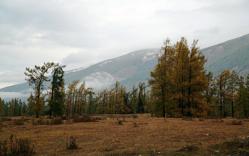 8E2A8049.jpg