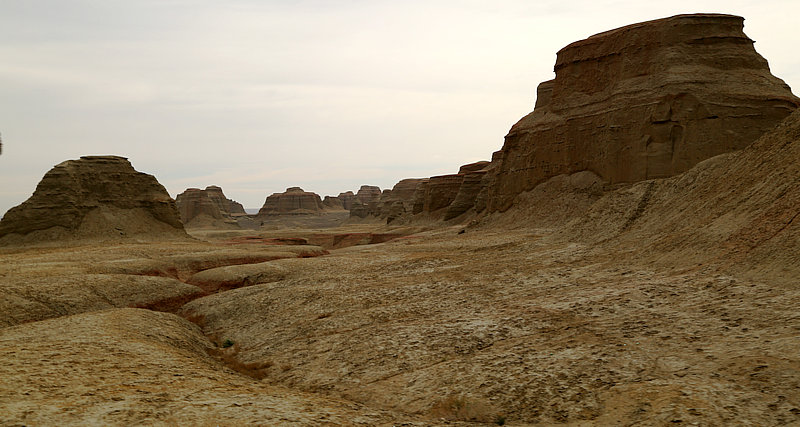 8E2A8246.jpg