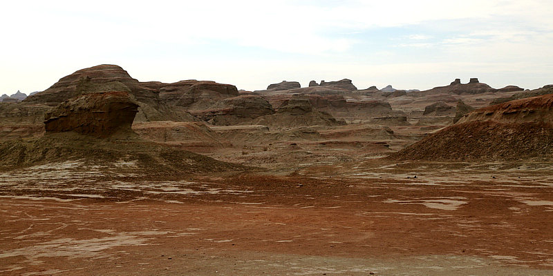 8E2A8238.jpg