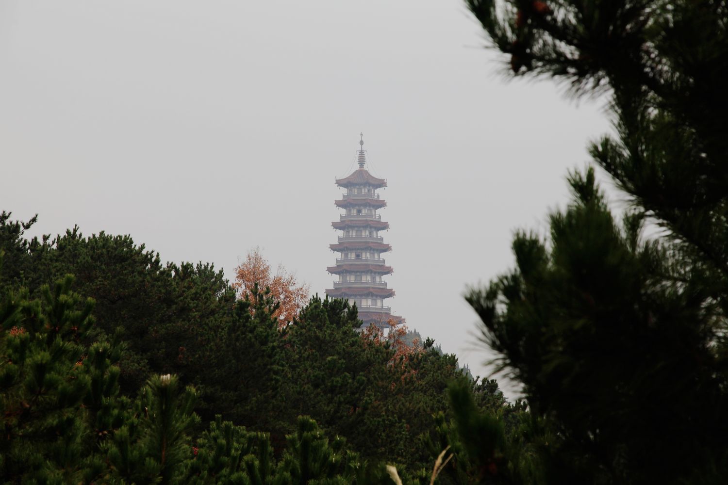 红叶 049.jpg