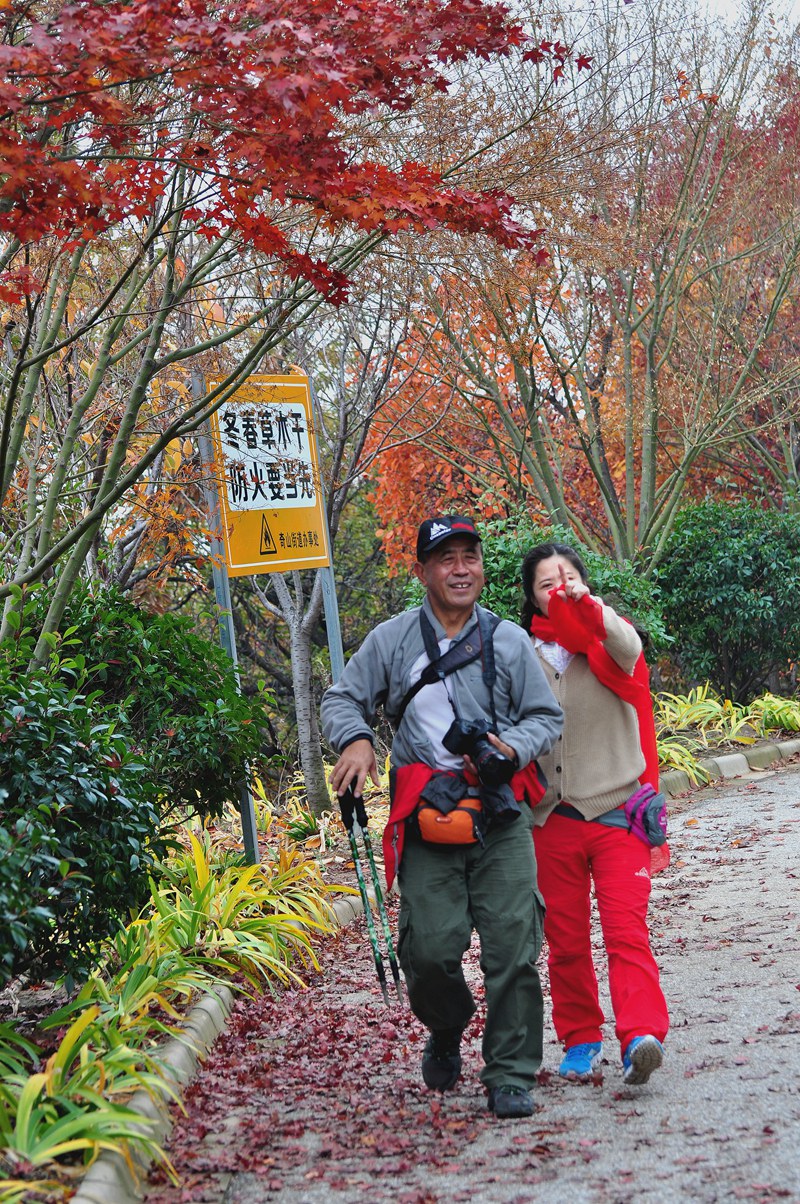 大南山 256.jpg
