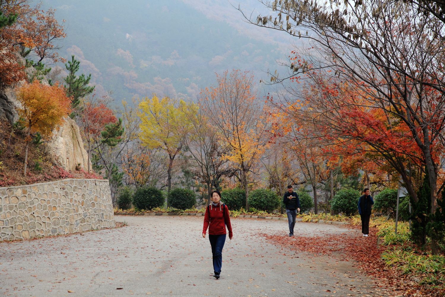 红叶 405.jpg