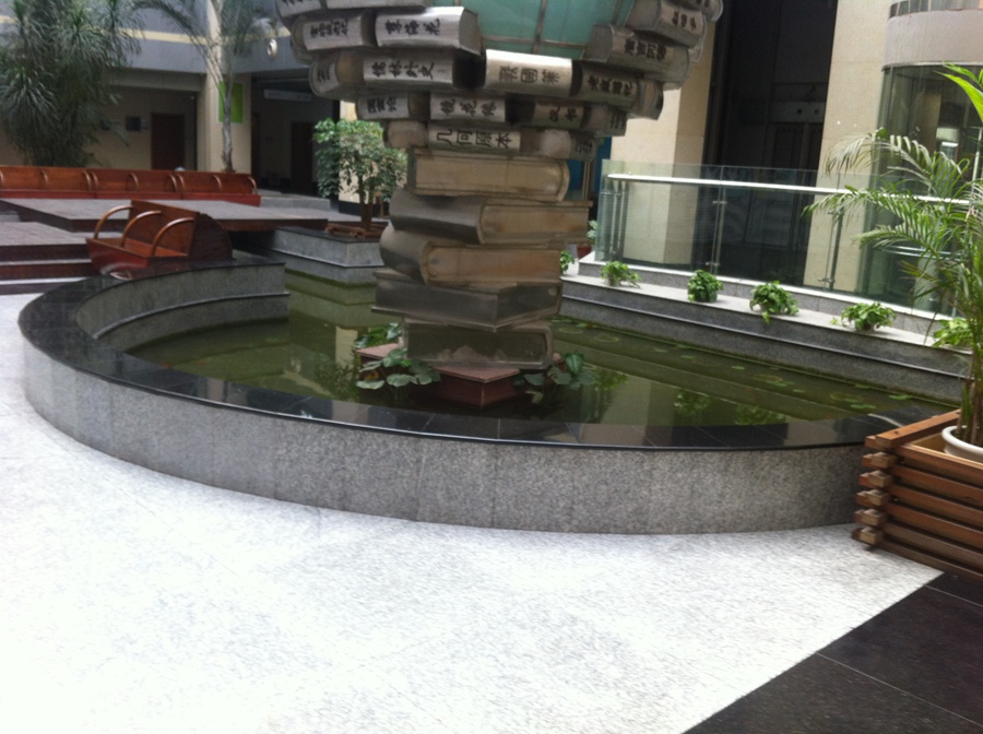 IMG_1554.jpg