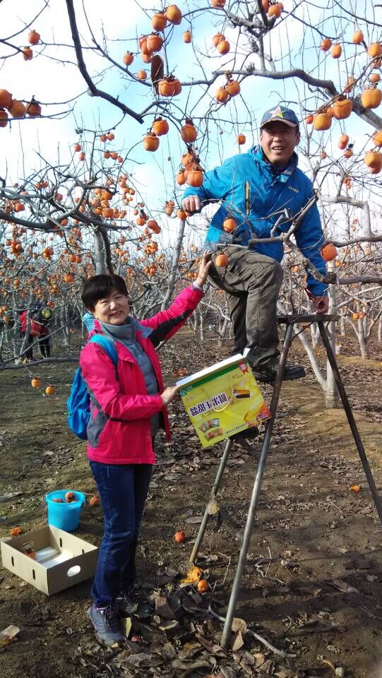 QQ图片20151207114519.jpg