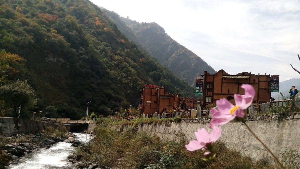IMG_20151015_114248_副本.jpg
