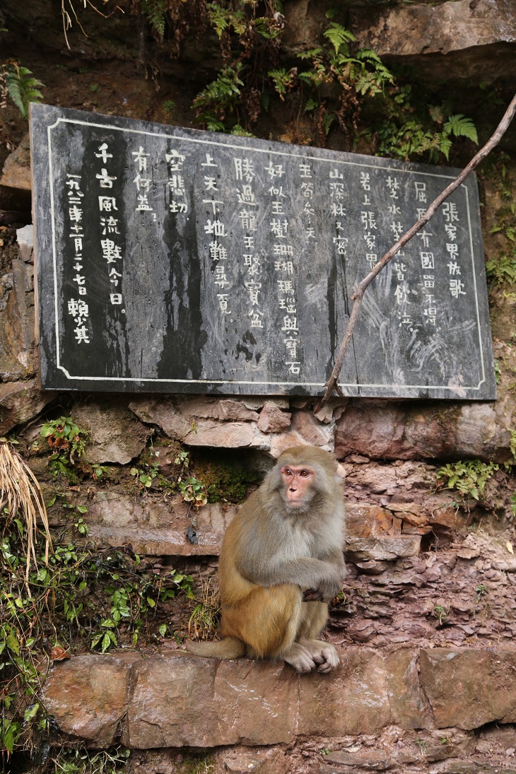 IMG_8497.JPG IMG_8497.JPG