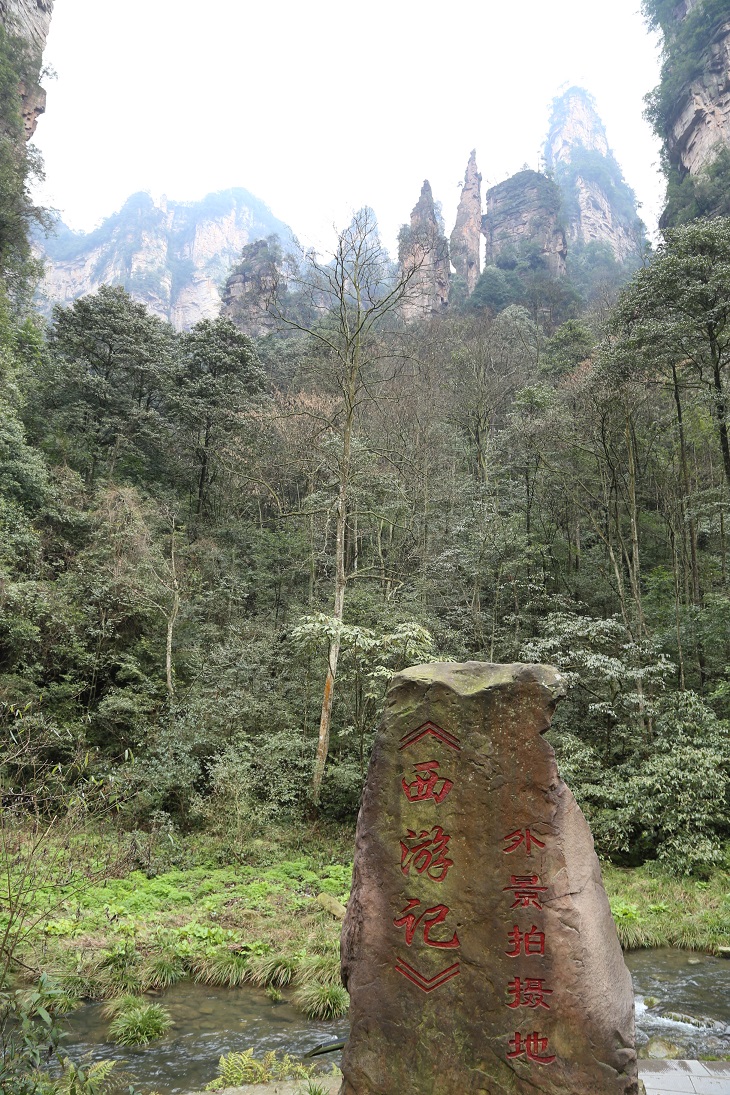 IMG_8533.JPG IMG_8533.JPG