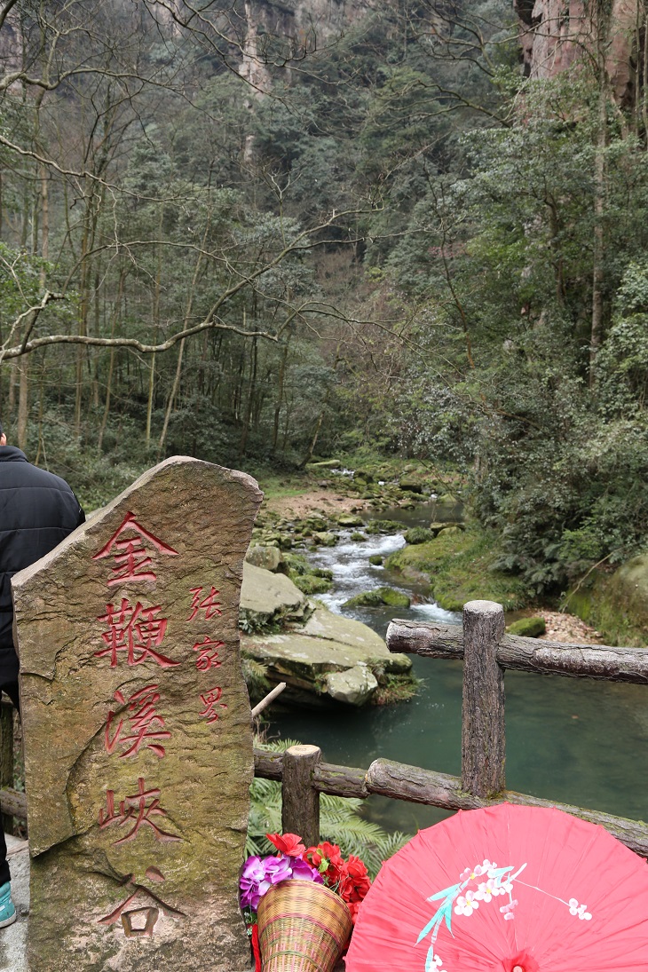 IMG_8558.JPG IMG_8558.JPG