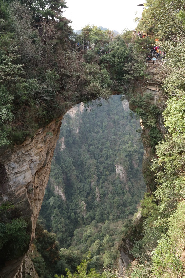 IMG_8631.JPG IMG_8631.JPG