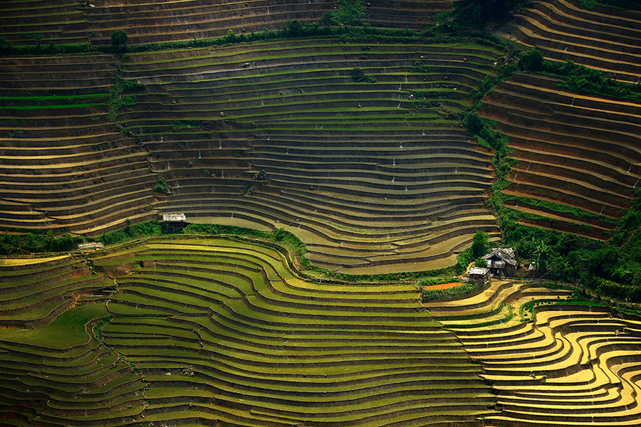 480c269a715a537847c.jpg 480c269a715a537847c.jpg