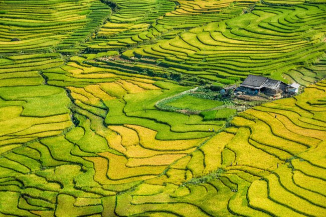 20208aba28464270b7032dc3d37840b2_650x434.jpg 20208aba28464270b7032dc3d37840b2_650x434.jpg