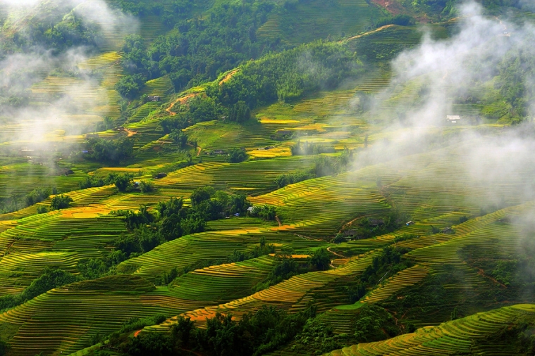 25595096_5.jpg 25595096_5.jpg