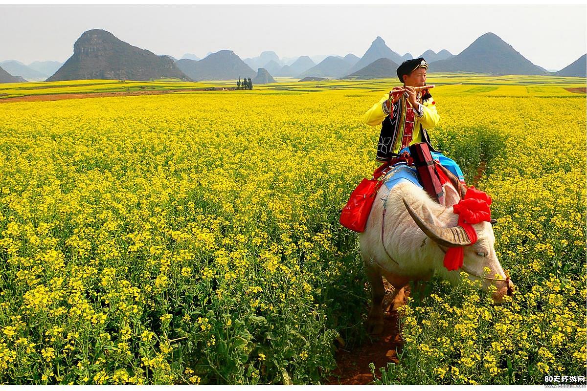 20131224162336_8721.jpg 20131224162336_8721.jpg