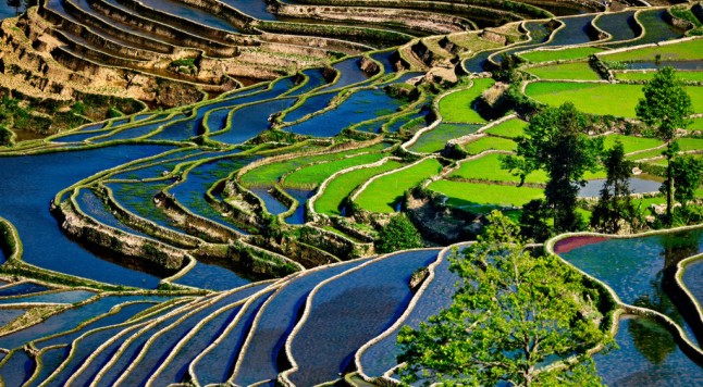 元阳梯田1.jpg 元阳梯田1.jpg