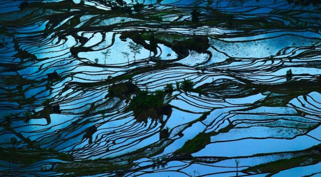 元阳梯田2.jpg 元阳梯田2.jpg