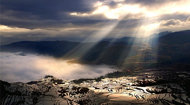 元阳梯田日出.jpg 元阳梯田日出.jpg