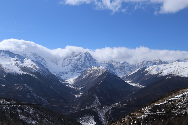 IMG_7902.JPG IMG_7902.JPG