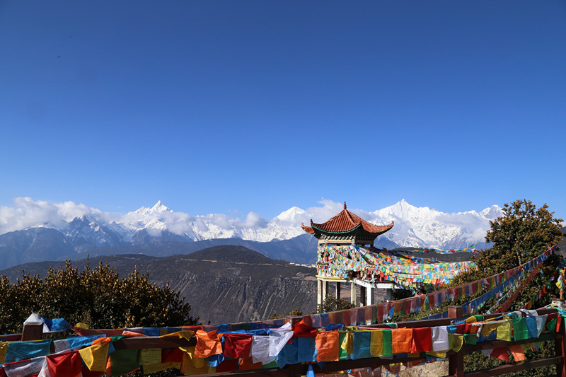 IMG_8114.JPG IMG_8114.JPG