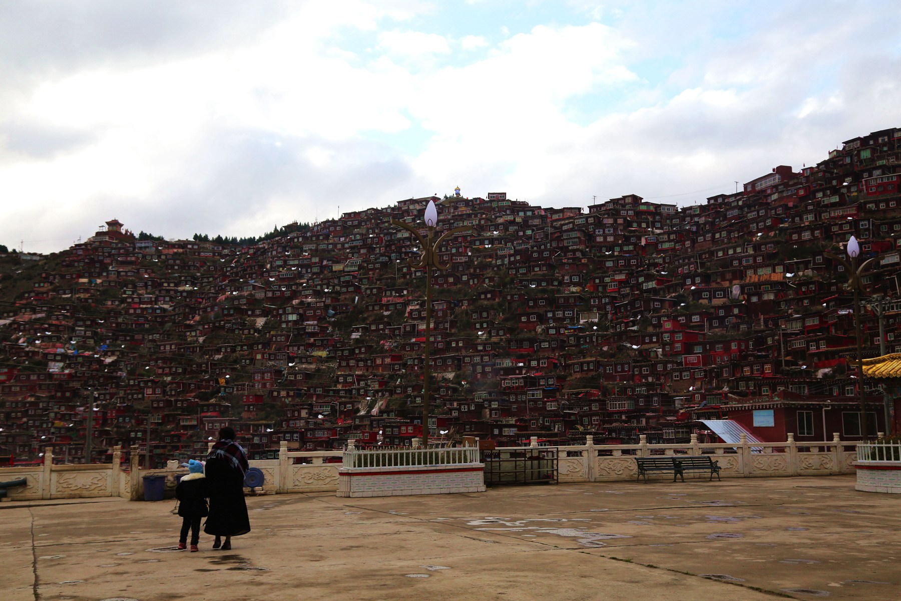 IMGL0388.JPG