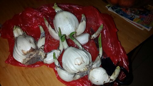 20160113_172810.jpg
