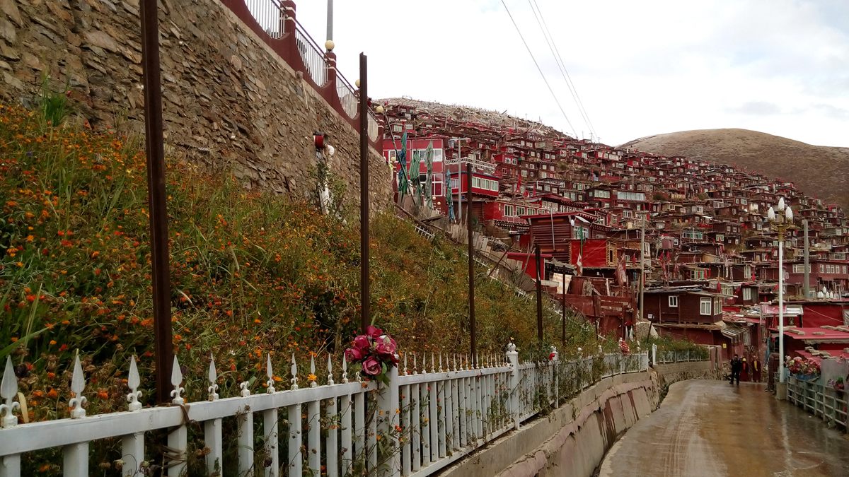 IMG_20151017_164731_副本.jpg