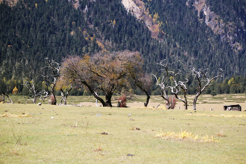 8E2A9420.jpg