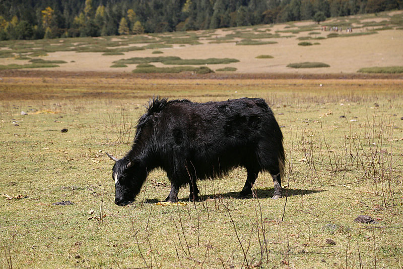 8E2A9465.jpg