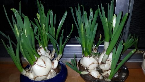 20160120_192013.jpg