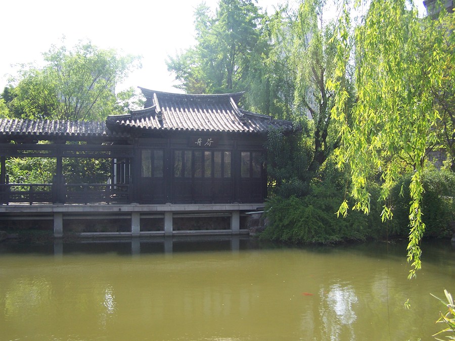 100_9996.jpg
