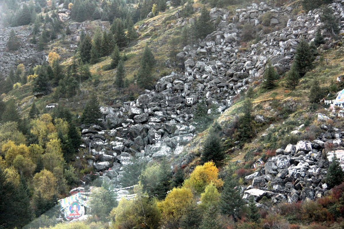 IMG_0822_副本1.jpg