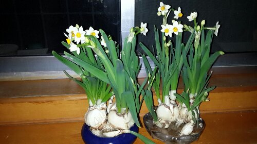 20160125_174922.jpg