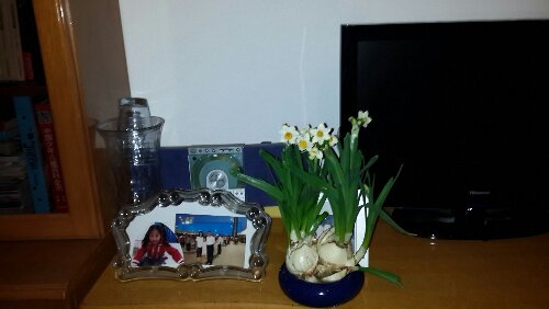 20160125_175100.jpg