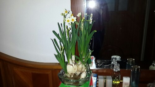 20160125_175117.jpg