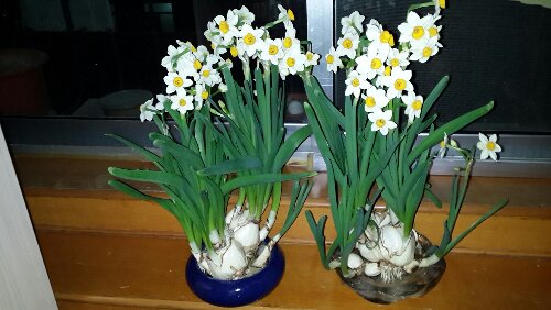 20160127_175745.jpg