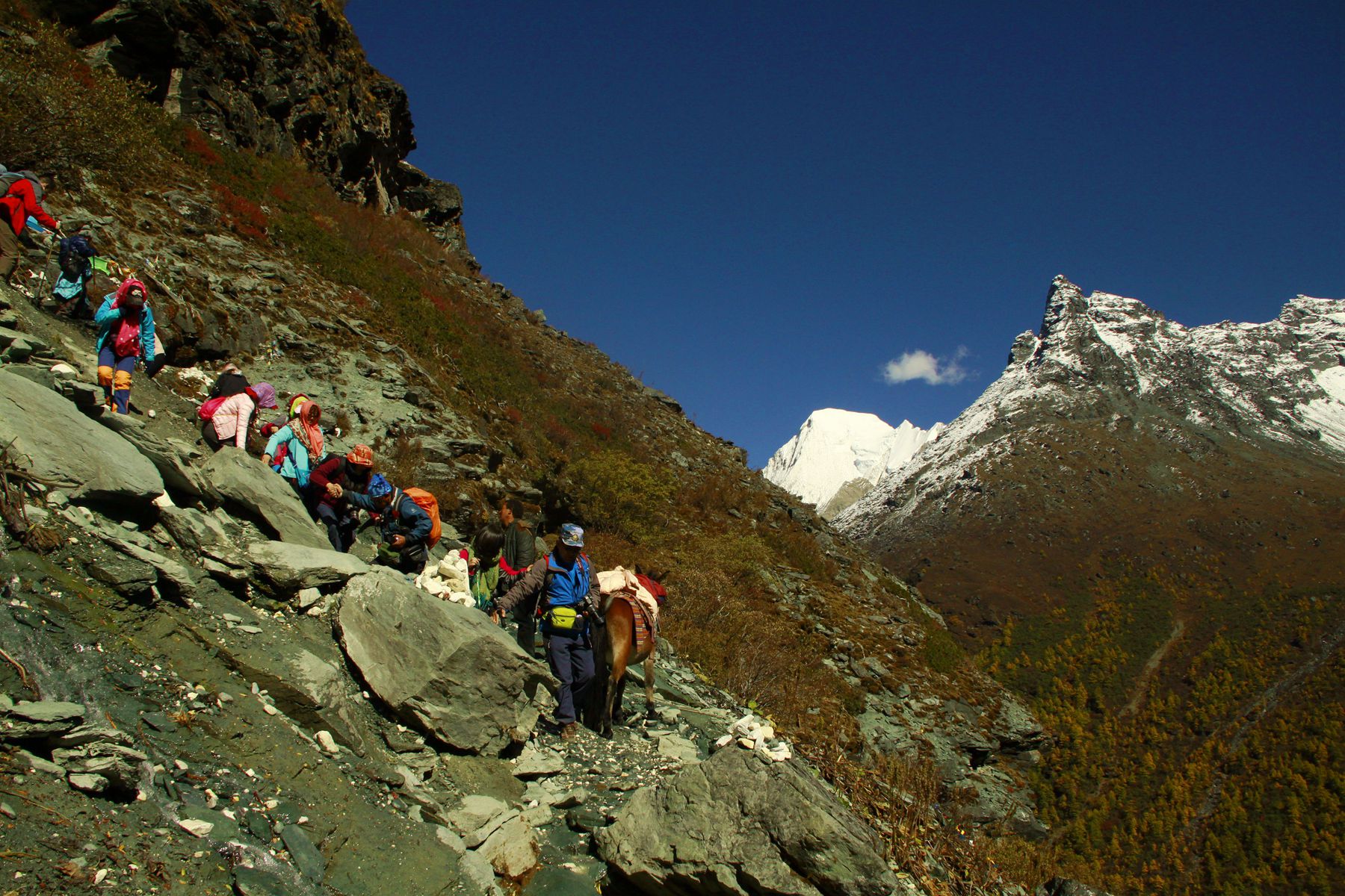 _MG_5925.JPG